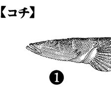 東風|東風(コチ)とは？ 意味や使い方